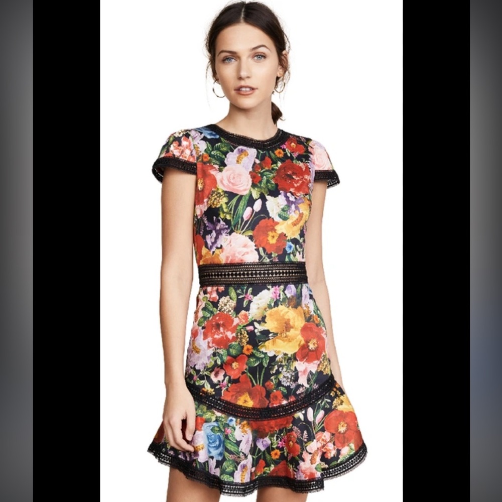 Alice and Olivia Rapunzel Dress Black Floral